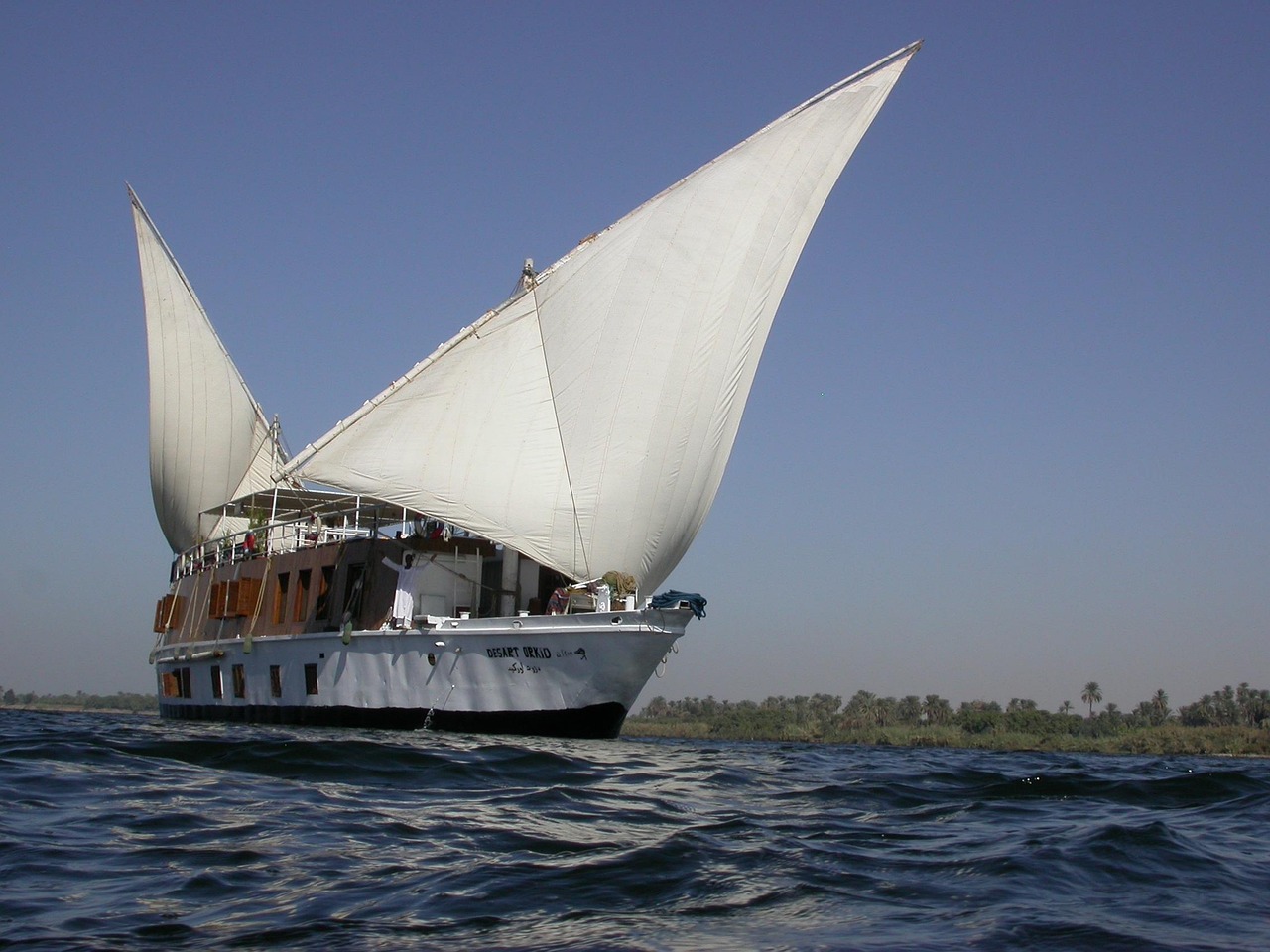 nile cruise